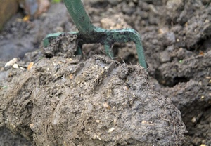 Improving Clay Soils