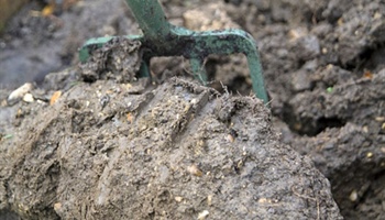 Improving Clay Soils