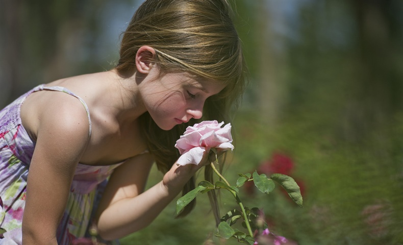 Fragrant Gardens