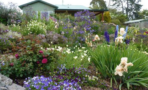 Cottage Gardens