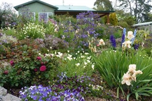 Cottage Gardens