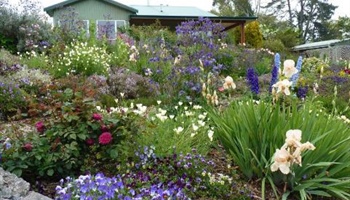 Cottage Gardens