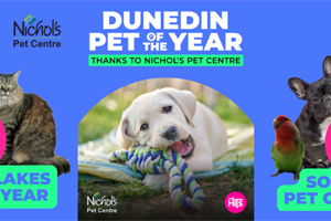 The Hits & Nichol's Pet Centre: Pet of the Year 2025