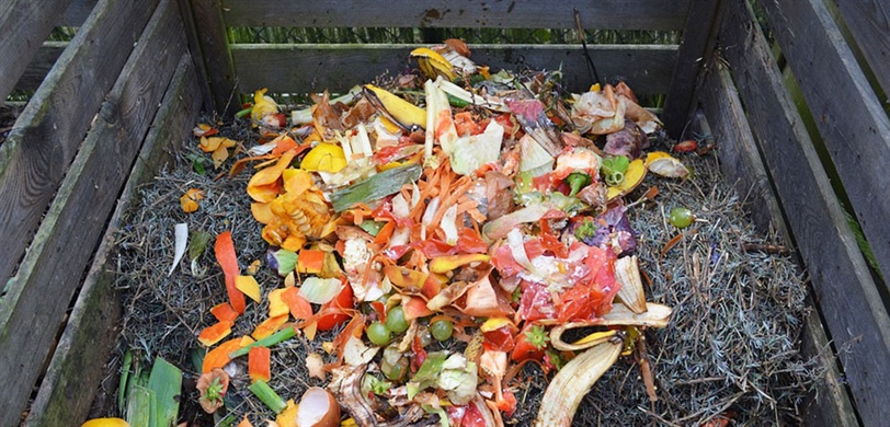 Compost to help your garden grow