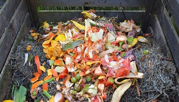 Compost to help your garden grow