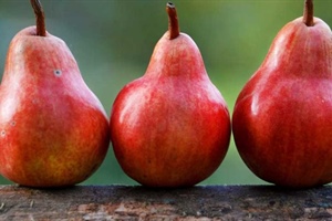 Fruit Pests & Disease Control