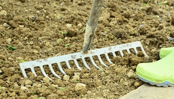 June Gardening