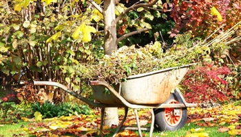 April Gardening