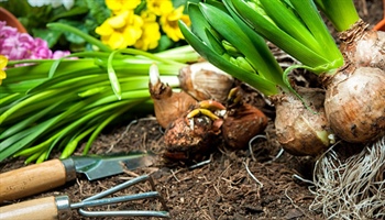 March Gardening