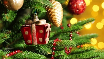 December Gardening