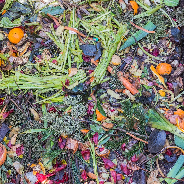 Vegetables and Fruit and plant material for composting Vegetables and Fruit and plant material for composting