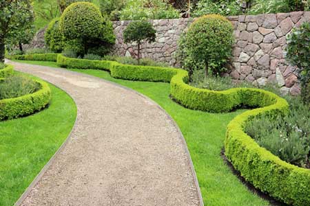 Hedging Hedging