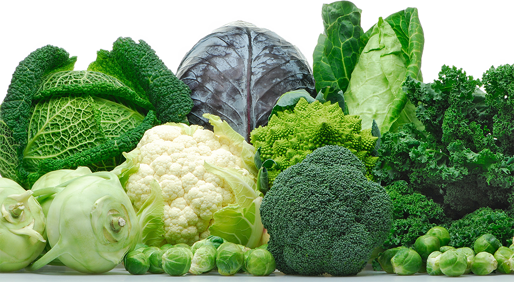 Brassica Cruciferous Vegetables