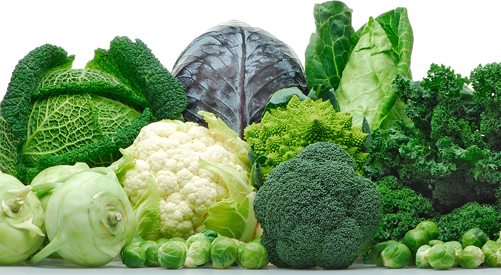Brassica Cruciferous Vegetables Brassica Cruciferous Vegetables
