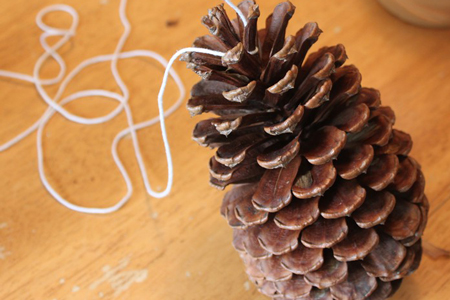 Pine cone bird feeder Pine cone bird feeder