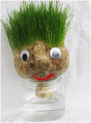 Grass-Haired Man activity Grass-Haired Man activity