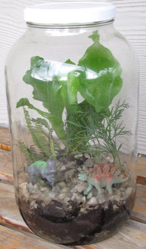Bottle Jar Garden