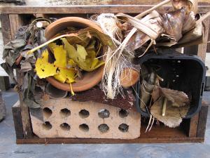 Bug Hotel Bug Hotel