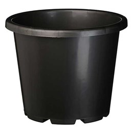 15938