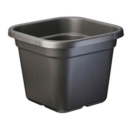 15957